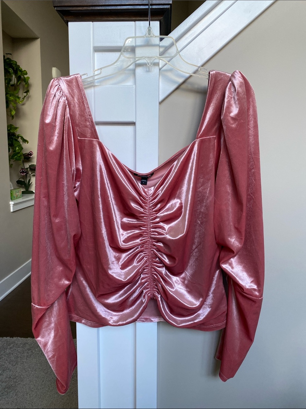 Express Shimmery Pink Velvet Long-Sleeve Blouse